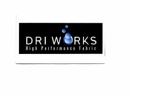 Trademark DRIWORKS