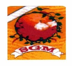 Trademark SGM+Logo/Gambar