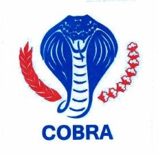 Trademark COBRA + lukisan ular