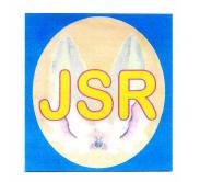 Trademark JSR