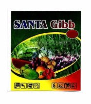 Trademark SANTA GIBB