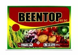 Trademark BEENTOP