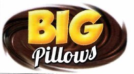 Trademark Big Pillows