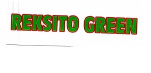 Trademark REKSITO GREEN