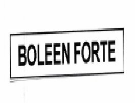 Trademark BOLEEN FORTE