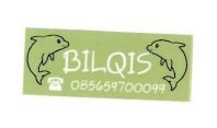 Trademark BILQIS 0856970009