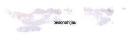 Trademark pesonahijau