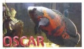 Trademark OSCAR + Lukisan Ikan