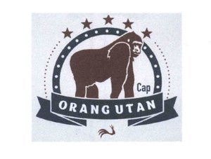 Trademark ORANG UTAN