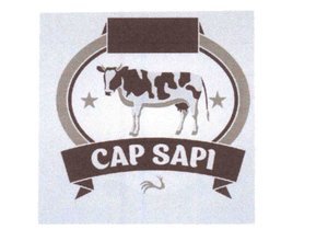 Trademark CAP SAPI