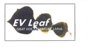 Trademark EV leaf