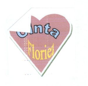 Trademark Cinta Floriez