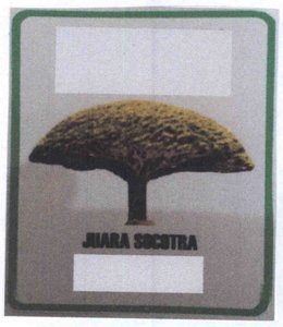 Trademark JUARA SOCOTRA