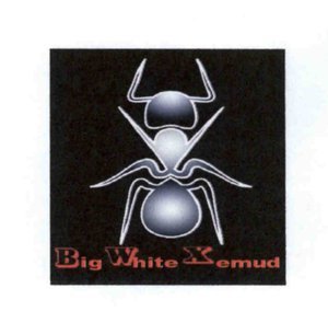 Trademark BigWhiteXemud