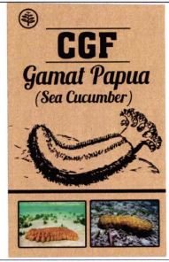 Trademark CGF GAMAT PAPUA + LUKISAN