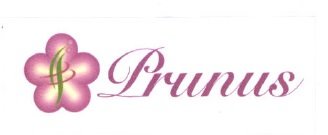 Trademark PRUNUS + LOGO