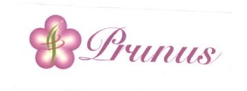 Trademark PRUNUS + LOGO