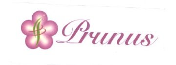 Trademark PRUNUS + LOGO