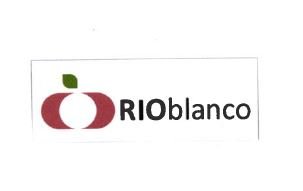 Trademark RIOBLANCO + LOGO