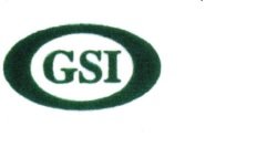 Trademark GSI