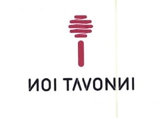 Trademark NOI TAVONNI + LOGO STICK