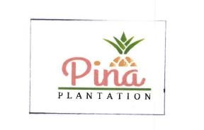 Trademark PINA PLANTATION + LOGO