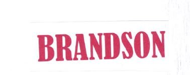 Trademark BRANDSON