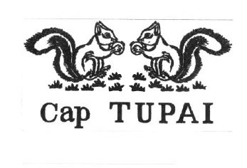 Trademark TUPAI + LUKISAN