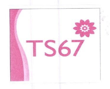 Trademark TS67 + LOGO