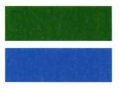 Trademark LOGO WARNA HIJAU BIRU
