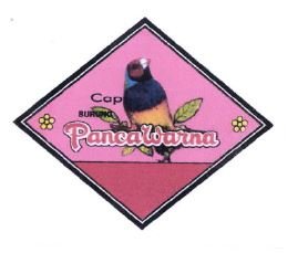 Trademark CAP BURUNG PANCAWARNA + LUKISAN