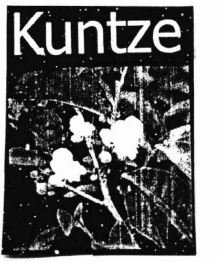 Trademark KUNTZE + LUKISAN