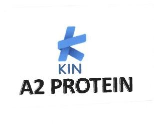 Trademark KIN A2 PROTEIN + LOGO K