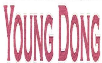 Trademark YOUNG DONG