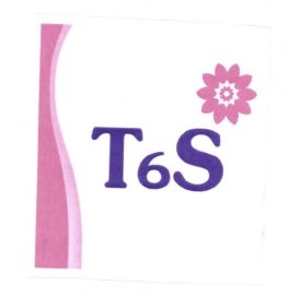 Trademark T6S + LOGO