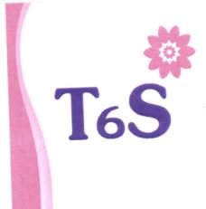 Trademark T6S + LOGO