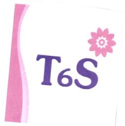 Trademark T6S + LOGO