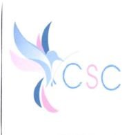 Trademark CSC + LOGO