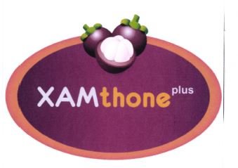 Trademark XAMTHONE PLUS + LUKISAN