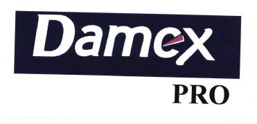 Trademark DAMEX PRO