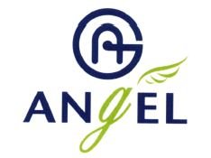 Trademark ANGEL + LOGO