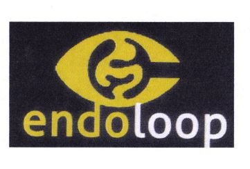 Trademark ENDOLOOP + LOGO