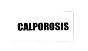 Trademark CALPOROSIS