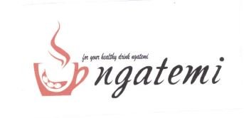 Trademark NGATEMI + LOGO