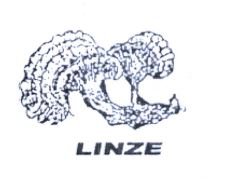 Trademark LINZE + LUKISAN