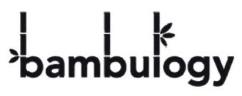 Trademark BAMBULOGY