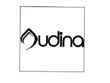 Trademark AUDINA