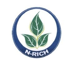 Trademark N-RICH + LUKISAN