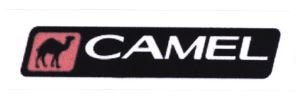 Trademark CAMEL + LOGO