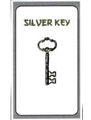 Trademark SILVER KEY + LUKISAN